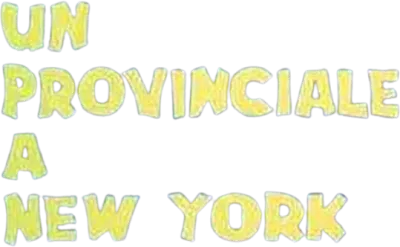 Un provinciale a New York