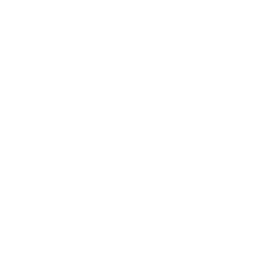 Bruce Lee: The Legend