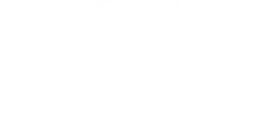La scelta di Sophie