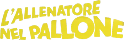 L'allenatore nel pallone