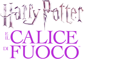 Harry Potter e il calice di fuoco
