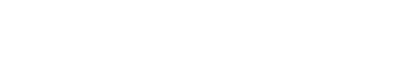 Q-Forza