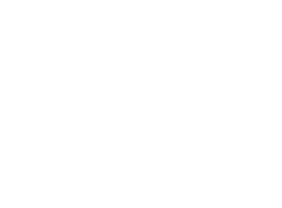 Bye Bye Morons