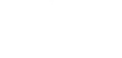 The Cleaning Lady