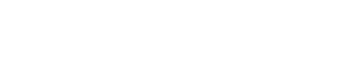Il debito