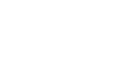 Four Lions