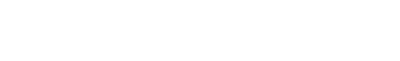 Surviving Summer – Un’estate travolgente (2022)
