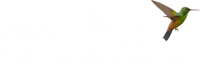 Il colibrì
