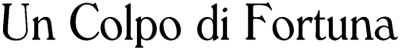 Un colpo di fortuna