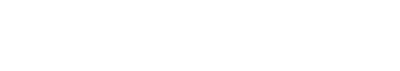 The Patient