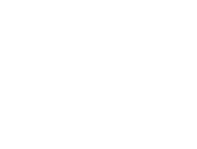 The Judge