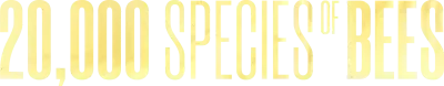 20.000 specie di api