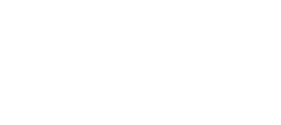 Fancy Dance