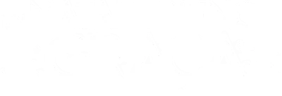 Un Natale pieno di Graça