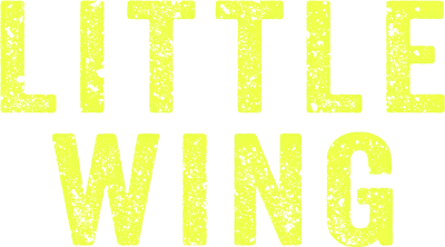 Little Wing - Il senso di casa