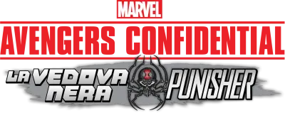 Avengers Confidential: La Vedova Nera e Punisher