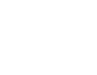 The Walk