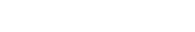 Hello Ladies: Il Film