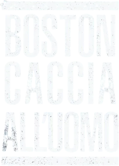 Boston: Caccia all'uomo