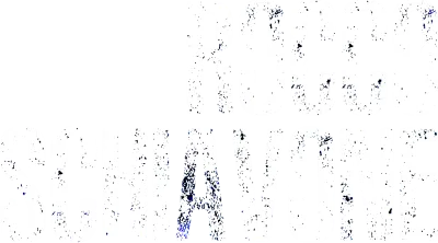 Rocco Schiavone