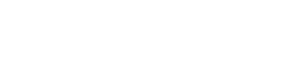 Sconnessi