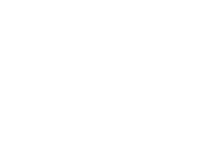 Classe Z
