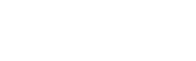 Wasp Network