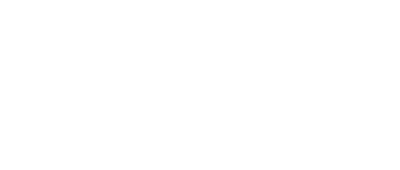 The Festival