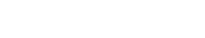 Il direttore capo