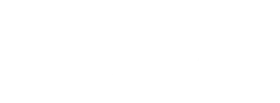 The Flight Attendant