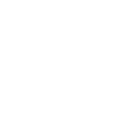 The Wedding Guest - L'ospite sconosciuto